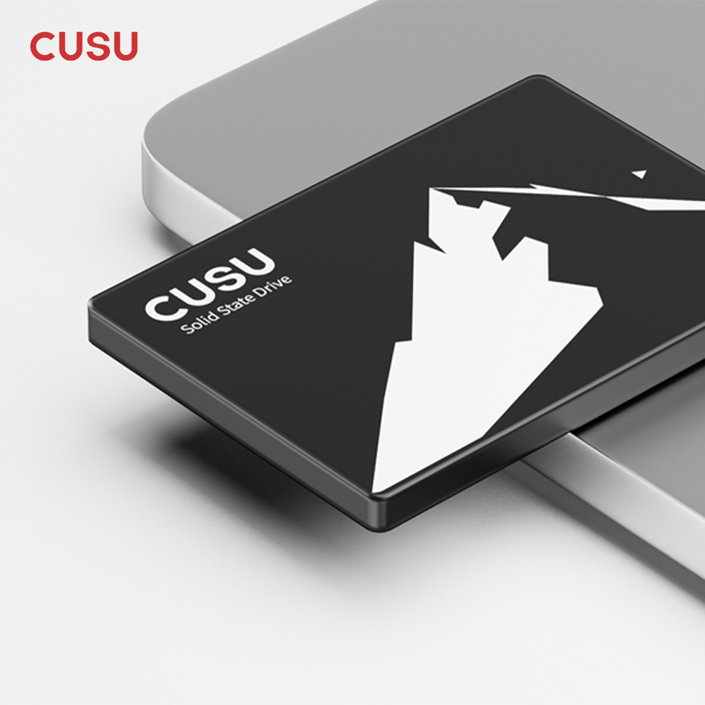 CUSU SSD 1TB 512GB 256GB 128GB - Ssd 500Gb recension och pris